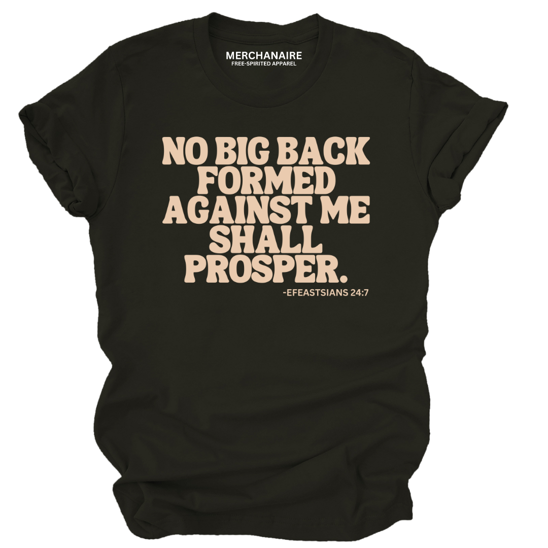 NO BIG BACK FORMED AGAINST ME SHALL PROSPER. EFEASTSIANS 24:7